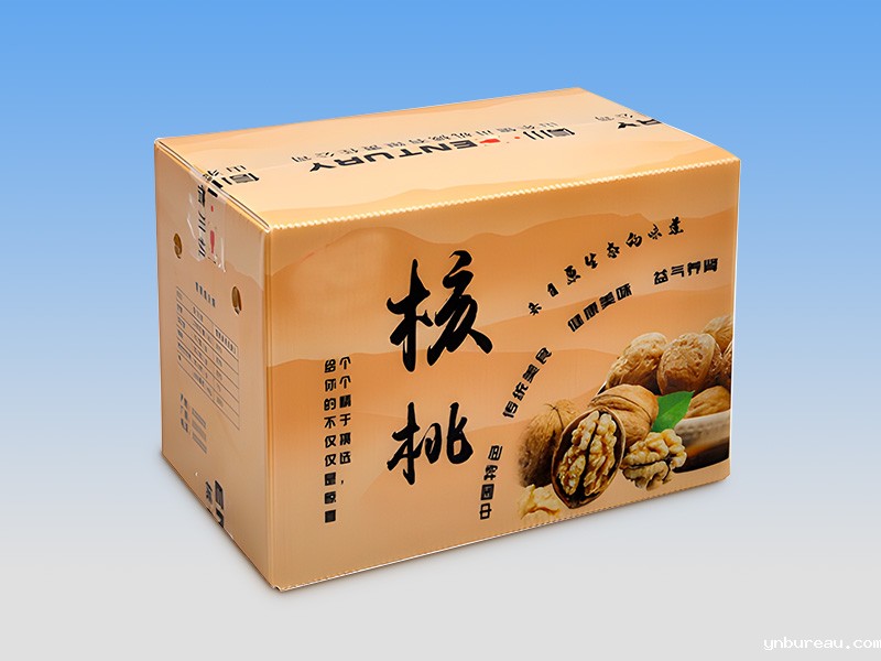 纸箱型中空板箱